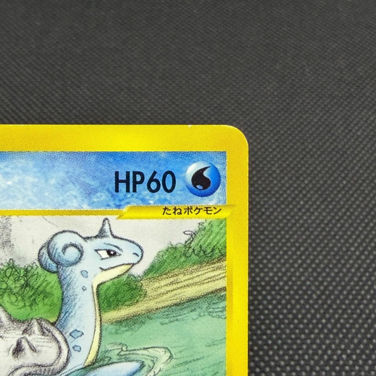 Lapras 029/088 Skyridge 1st Ed Mysterious Mountains Japanese