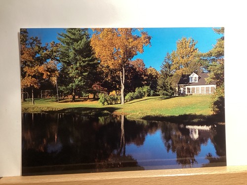 Stone Cottage in Val-Kill: Hyde Park, New York - Vintage Postkarte