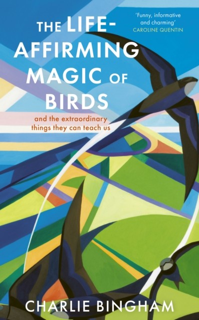 The Life-Affirming Magic of Birds: and the extraordinary things they can teach us - Image 4