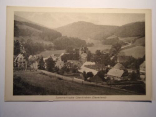 Ansichtskarte Sommerfrische Oberkirchen Sauerland  (Nr.674)