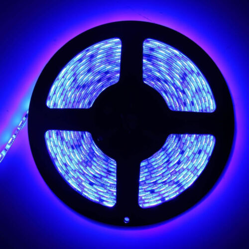 5M 5050 5630 3528 Led Strip Light 300 Leds SMD Bright Flexible Lamp DC 12V - Picture 16 of 16