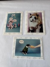 Close Out Sale 3 Funny Cat Kitty Blank Greeting Cards And Envelops.
