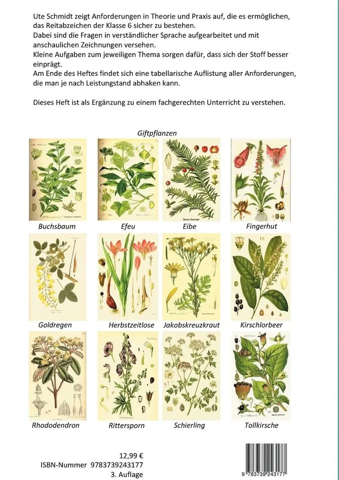 A.S. NEIL THEORIE UND PRAXIS DER ANTI-AUTORITARE - İkinci El Kitap - #0