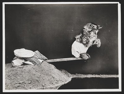 Photo:Ready for a dive