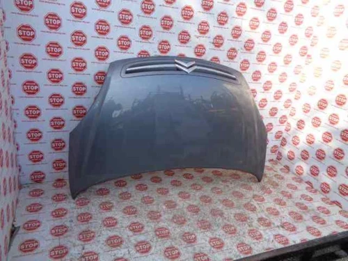 Capo para CITROEN XSARA PICASSO 2.0 HDi Exclusive 2004 744830 - Bild 1 von 7