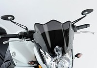 Ermax Naked-Bike-Scheibe FÃ¼R FZ8 RN25 FüR FZ8 RN25