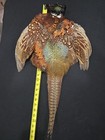 Rooster Ringneck Pheasant Skin 2 Wings Tail Fly Tying Materials Craft Feathers