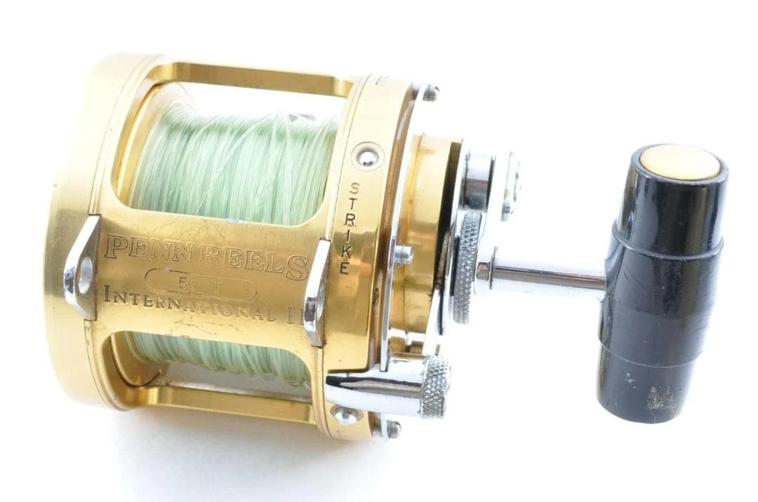Penn International 50 | eBay