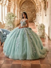 Green Quinceanera Dress Spaghetti Strap Floral Applique Sweet 16 Party Ball Gown