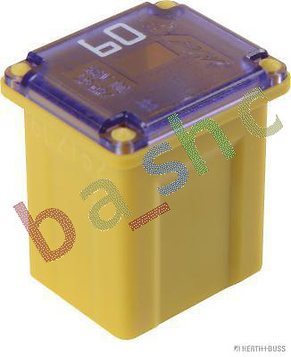 Picture 1