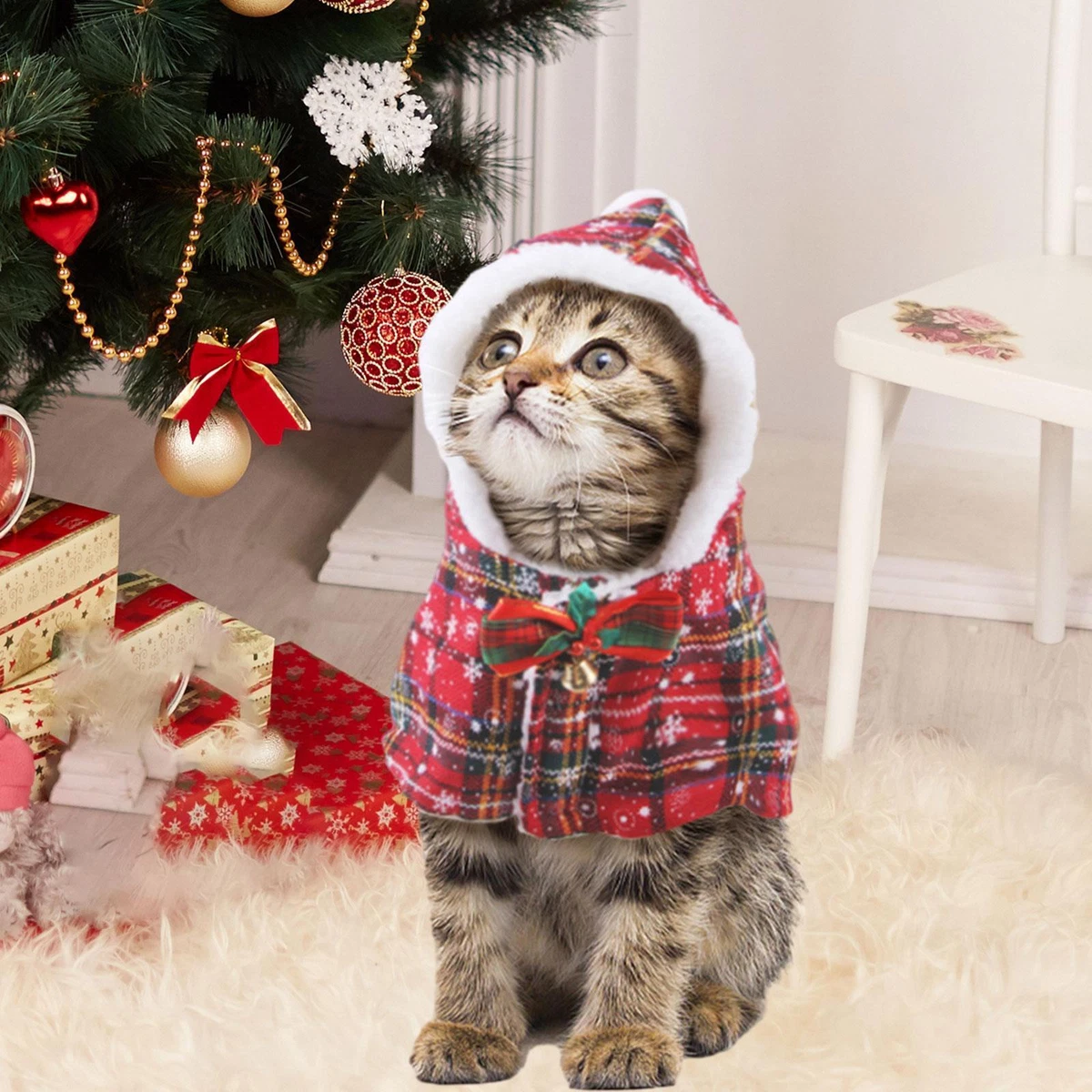 Cat christmas sale outfit