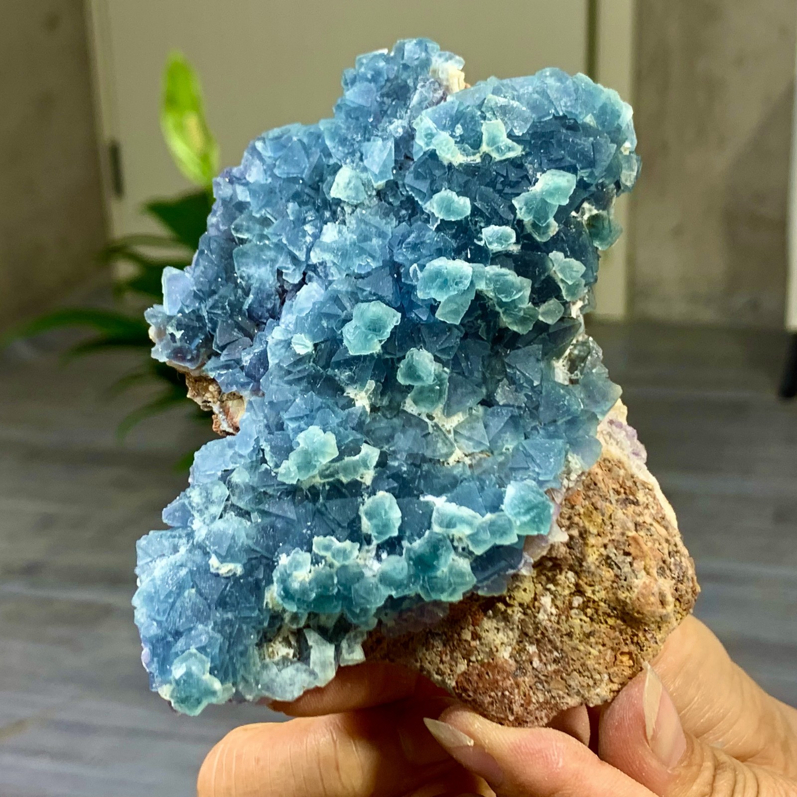 243G Natural Blue Octahedral Fluorite Crystal Specimen from China