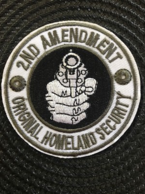 2nd Amendment GUN RIGHTS 1789  embroidered iron on Vest Patch  3'' X 3''