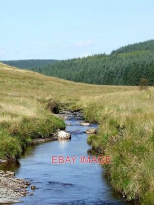 PHOTO  AFON TYWI SOUTH OF MOEL PRYSGAU POWYS THE RIVER WAS VERY LOW FOLLOWING TW