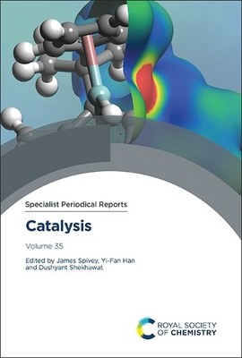 James J Spivey Catalysis (Gebundene Ausgabe)