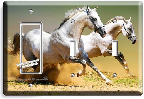 BLANCO LIPIZZAN CABALLOS INTERRUPTOR DE PARED PLACA DE CAMPO HABITACIÓN CASA DECORACIÓN ARTÍSTICA - Imagen 32 de 34