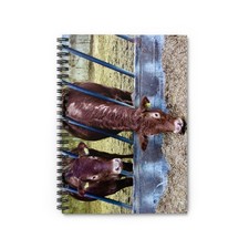 Rustic Cows Spiral Notebook