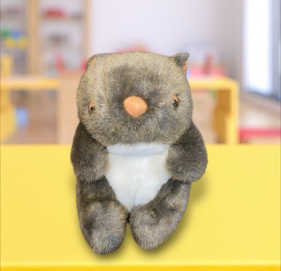 Australia Citer Souvenirs Baby Wombat Stuffed Plush Toy Very Cute!