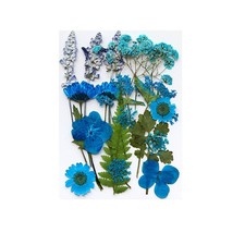 Crafty Dried Flowers Set for DIY Projects and Artistic Home Decor Enhancements