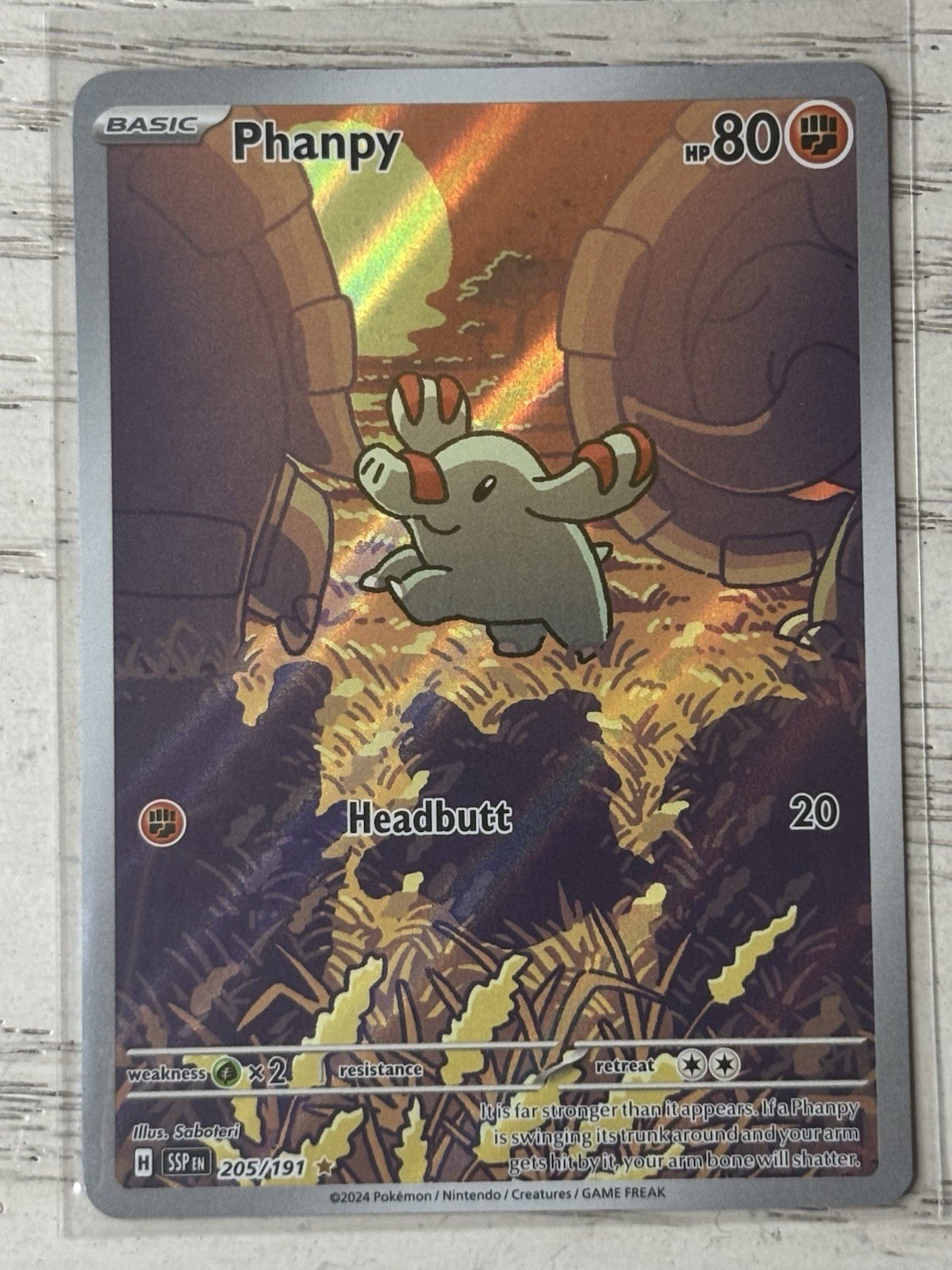 Phanpy Illustration Rare 205/191 SV Surging Sparks Pokémon Card Holo NM/N