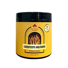 DT PLUS GLOBAL CORDYCEPS MILITARIS FREEZE DRIED 20 g/0.70 oz