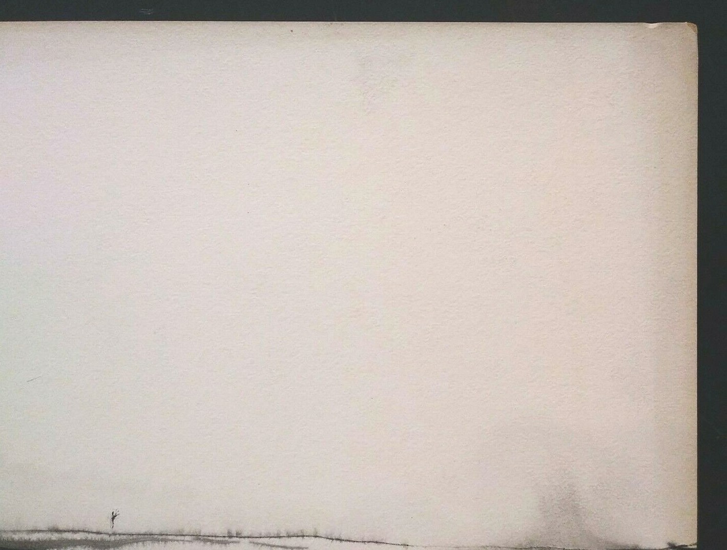 Picture 6 of 9