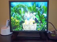 Dell P1911 19" LCD Monitor 1280x1024 5:4 Black VGA DVI Wall Mountable