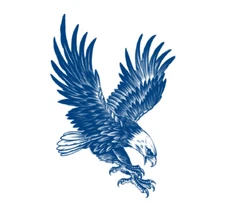 Blue Herbal Juice Semi Permanent Waterproof Eagle Body Arm Chest Tattoo Stickers