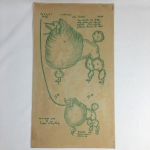 Vintage DIY Textile Fabric Stencil Set Polly Dell The Poodle Dog Unused Uncut 