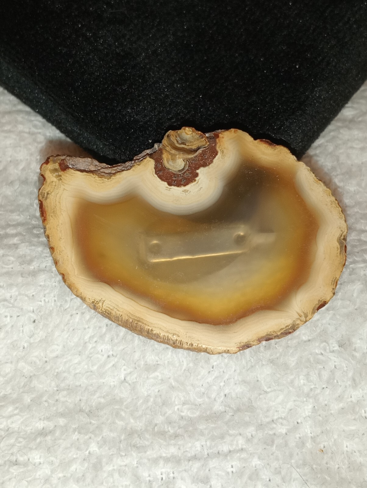 Tree Agate Brown Translucent Brooch (N) - image 1