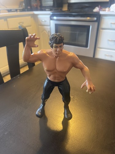 Ricky The Dragon Steamboat 1986 WWF LJN Titan Spor...