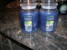 YANKEE CANDLE 2-22 0Z NEW ENGLAND BLUEBERRY  , SMELL JUST LIKE YOU JUST PICKED 