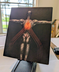 Tool Salival Album | eBay