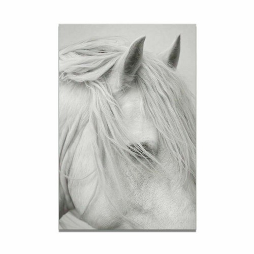 Animal White Horse Canvas Art Print Poster Living Room Wall Picture Modern Decor - Picture 11 of 17