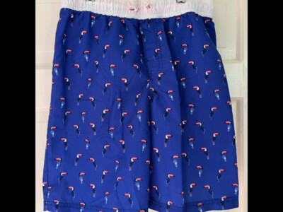 Osh Kosh B'gosh Boys Swim Trunks Suit Blue with Pelicans Size 10/12