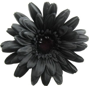 Full 5 1/2"  Goth Black Daisy Poly Silk  Flower Hair Clip w/Teeth Halloween
