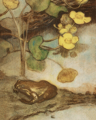 Vintage Pond with Frog Drawing Giclee Print on Fine Art Paper