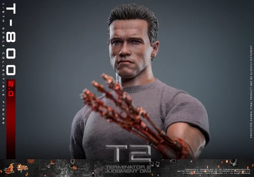 Hot Toys MMS795 Terminator 2 Judgment Day T800 2.0 Arnold Schwarzenegger Figure - Picture 8 of 8