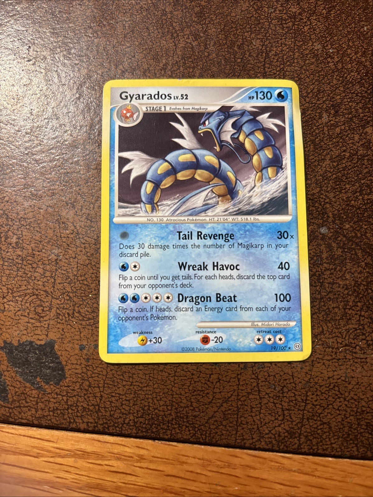 Gyarados 19/100 Stormfront Regular Lightly Played Condition