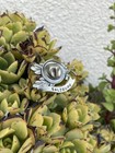 VINTAGE SALZBURG GERMANY SOUVENIR PIN BROOCH Hat Oak Leafs Acorns￼ — photo 2