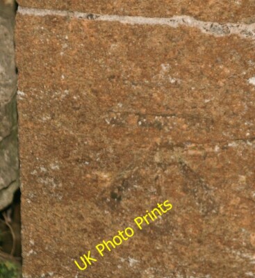 Foto 6x4 Benchmark, Netherton Farm Sutton Bingham c2015
