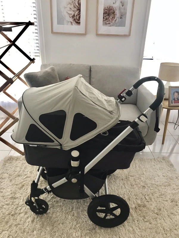 bugaboo cameleon bassinet to seat
