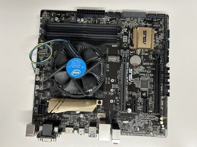 ASUS PRIME H170M-PLUS LGA1151 Intel H170 SATA3 HDMI MicroATX mit i3-6100 CPU