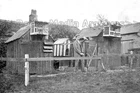 Azp-25 Social History, Pigeon Racing, Pigeon Loft, Unlocated. Photo
