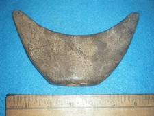 6  1/4   in.    WINGED CRESENT/WHALE TAIL BANNER STONE FROM NORTH ALABAMA