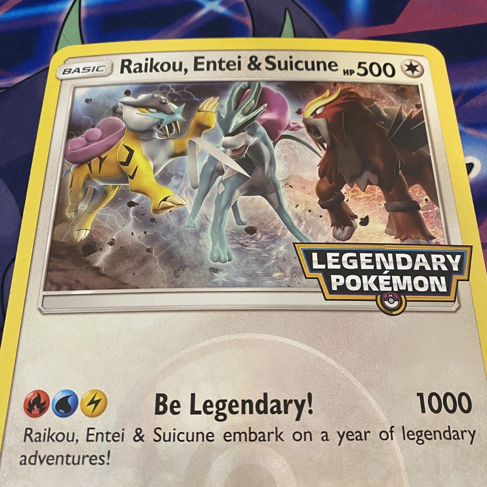 POKEMON JUMBO RAIKOU ENTEI SUICUNE OVERSIZED PROMO CARD