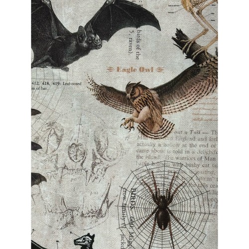 Jeepers CreepersSprings Creative Cotton Quilting FabricAlmost 1 1/2