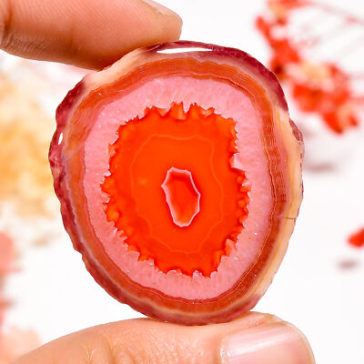 Natural Red Botswana Agate Fancy Slice Loose Gemstone 85 Ct. 37X33X7 mm GSR-6831