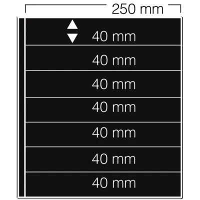 10-SAFE-737-Einsteckblätter-Blankoblätter-GARANT-Schwarz-7-Taschen-250x40mm
