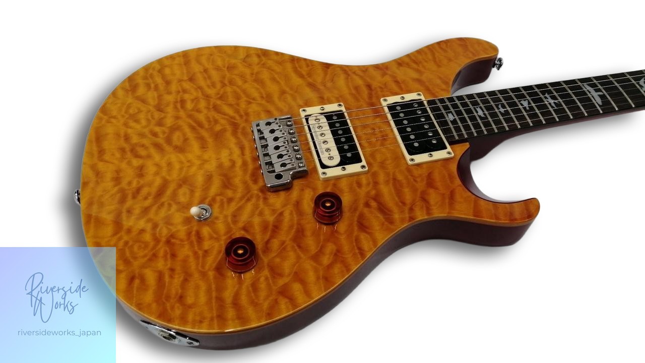 PAUL REED SMITH 25th Anniversary SE Custom24 Electric Guitar JP